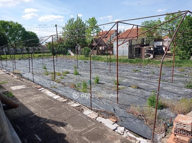 Gyulai elad� 2147 nm-es telek