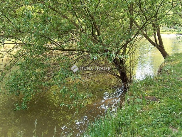 Gyul�n erd�ter�let halast�val ELAD�!