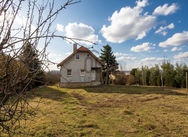 Gy�m�lcs�skert k�zep�n!