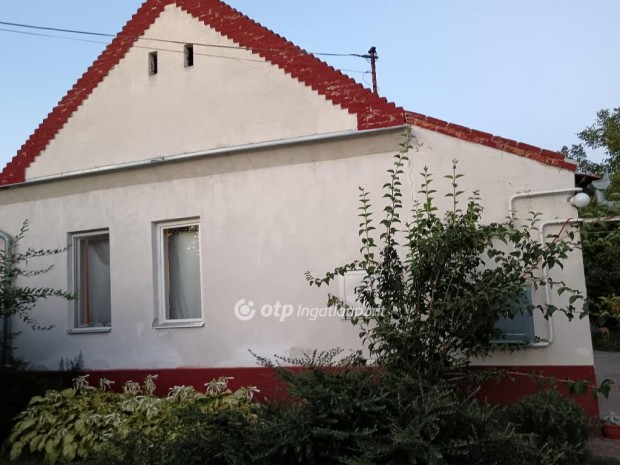 Hajd�b�sz�rm�nyi 100 nm-es h�z elad�