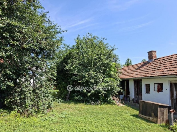 Hajd�b�sz�rm�nyi elad� 80 nm-es h�z