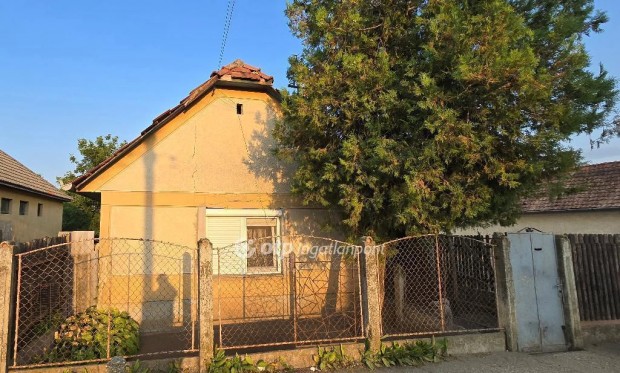 Hajd�hadh�zi 50 nm-es h�z elad�