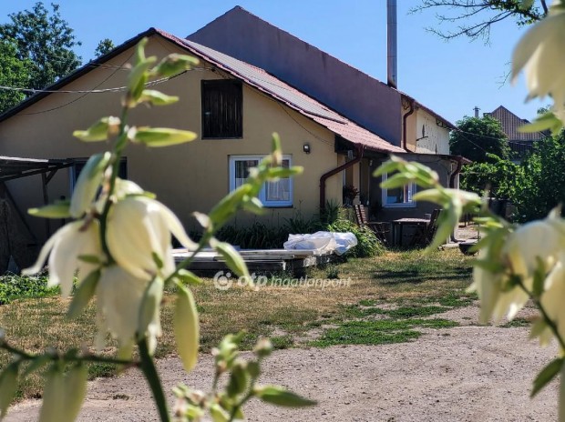 Hajd�n�n�si 72 nm-es h�z elad�