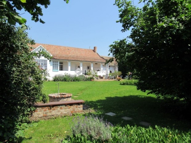 Hajd�n�n�si elad� 182 nm-es h�z