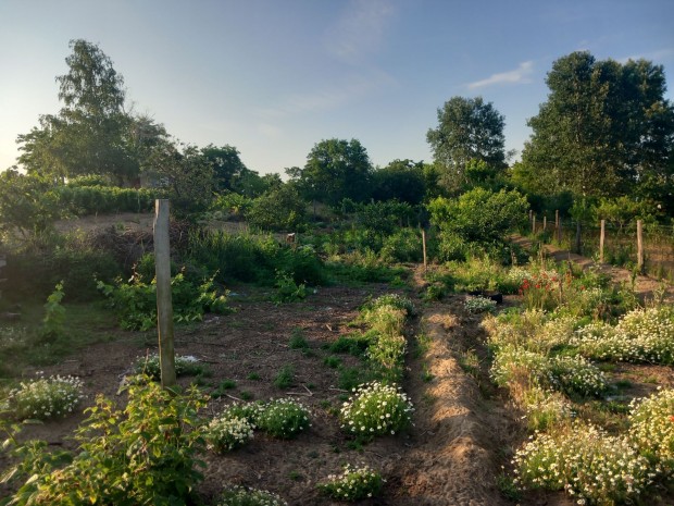 Hajd�s�msoni elad� telek