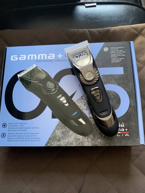 Hajvggp gamma+