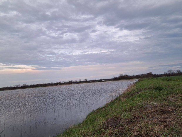 Halast� elad� Szabadsz�ll�s k�zel�ben