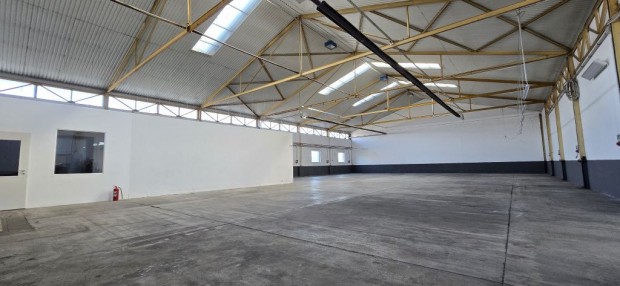 Hal�sztelek, II. R�k�czi Ferenc utca, 1350 m2-es, telephely,