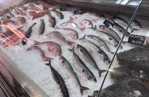 Halbolti eladó munkatársat keresünk!