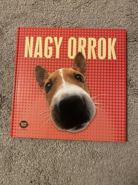 Hanadeka Nagy Orrok gyerekknyv