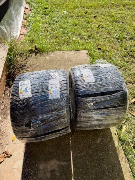 Hankook Winter I*cept RS3 W462 225/45R17 94V XL