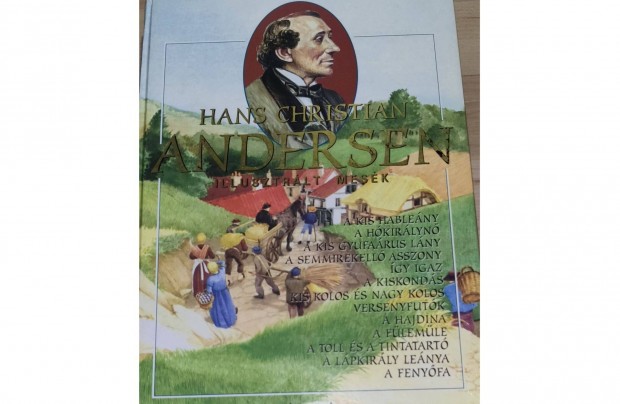 Hans Christian Andersen - Illusztrlt mesk knyv