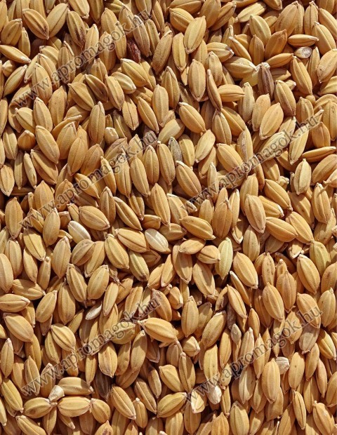 H�ntolatlan rizs elad� postai ut�nv�ttel