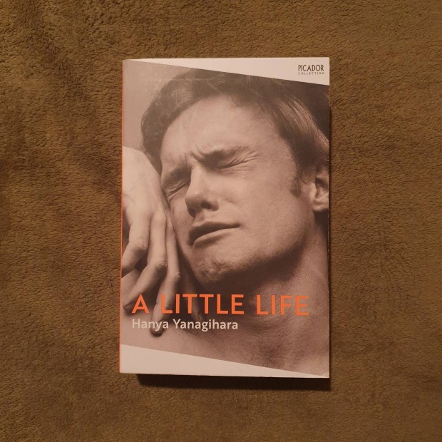 Hanya Yanagihara: A Little Life knyv