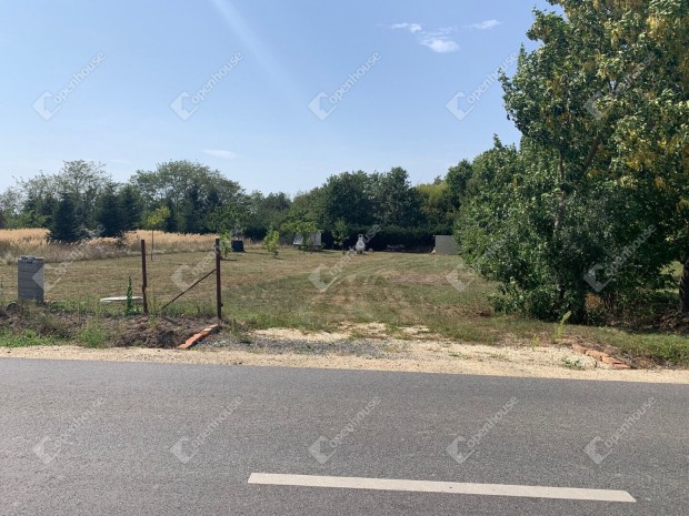 Harasztifalui elad� 1576 nm-es telek