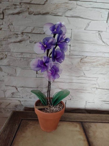 Harisnya virg orchidea dekorci 