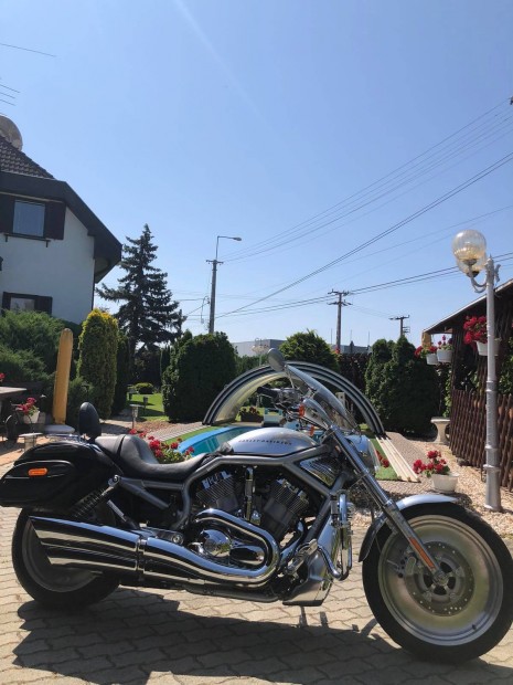 Harley Davidson V-road motor