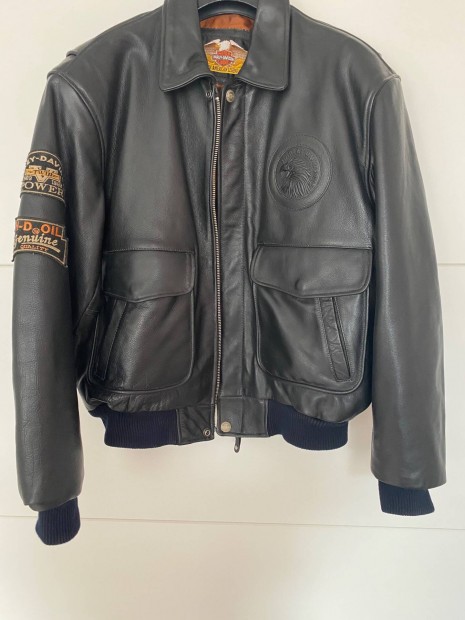 Harley Davidson brkabt