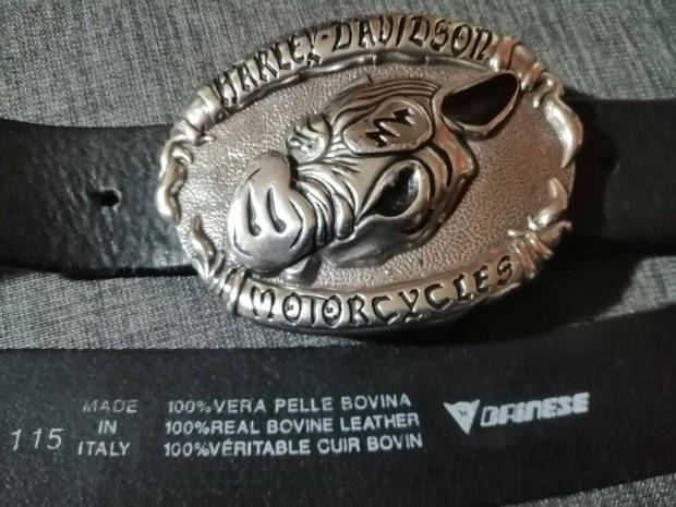 Harley Davidson v chopper