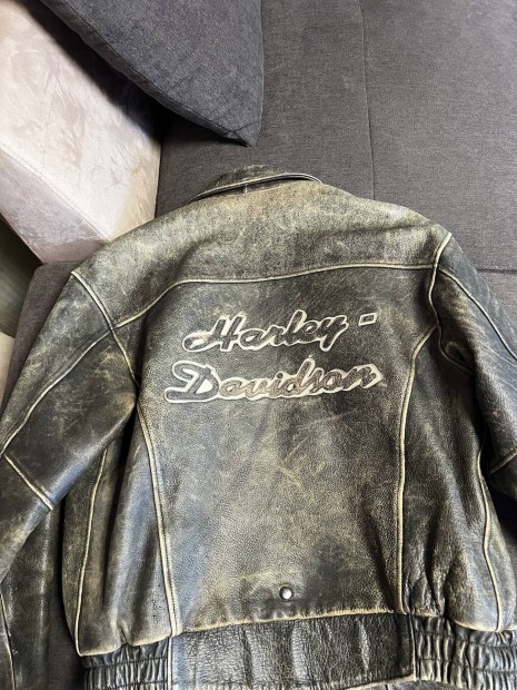 Harley dzseki 1