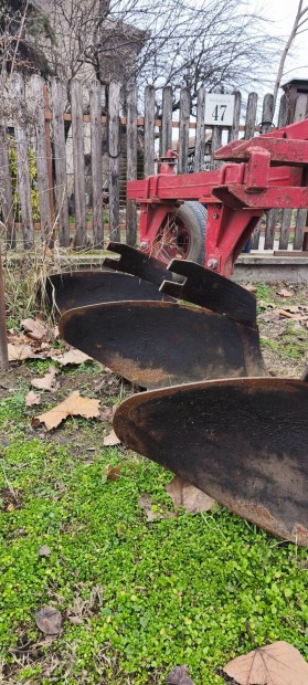 H�rom fejes k�z�p-m�ly sz�nt� eke