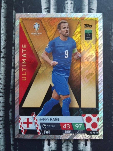 Harry Kane (Anglia) Ultimate XI Euro 2024 focis krtya