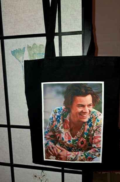 Harry Styles mints vszontska