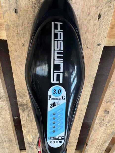 Haswing Protruar 3.0 110LB 24V