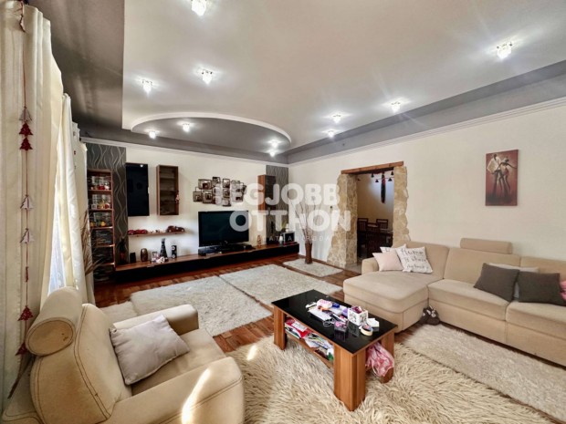 Hatalmas csal�di h�z Cegl�d belv�ros�t�l p�r perc s�tat�vra