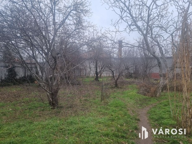 Hatalmas telek Vecs�s k�zkedvelt r�sz�n!