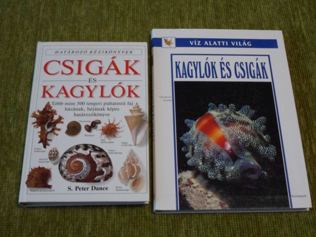 Hatroz kziknyvek: Csigk s kagylk + Kagylk s csigk