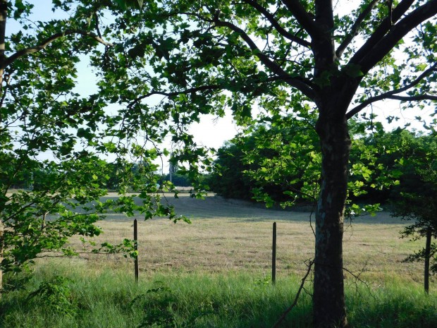 Hat�rtalan lehet�s�g