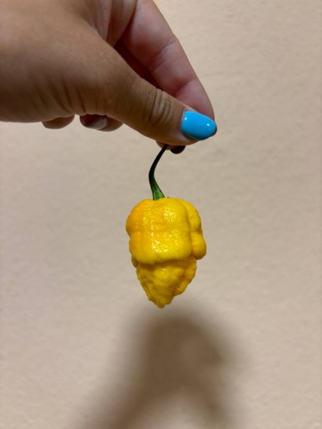 Hzi Habanero chilipaprika