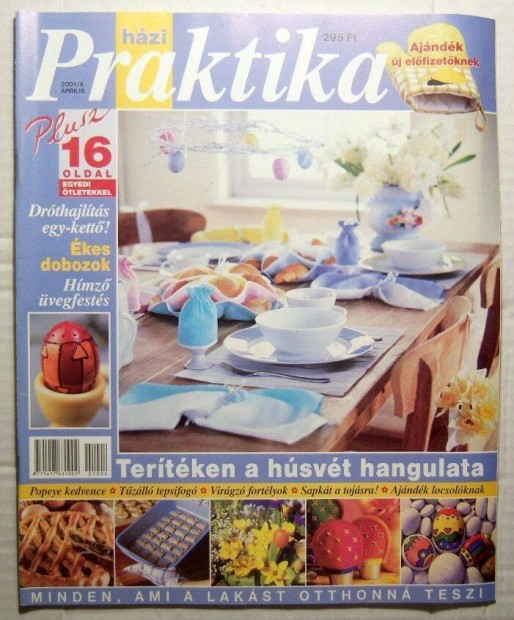 Hzi Praktika 2001/4.szm prilis