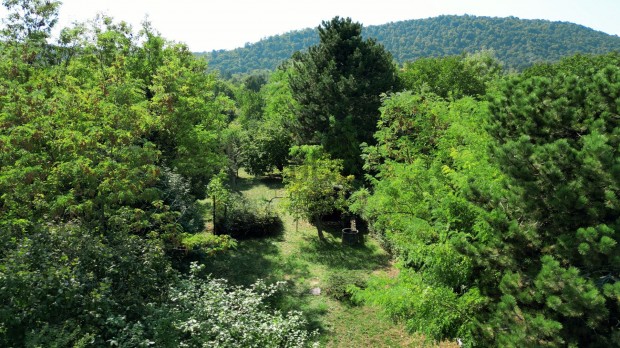 Hegyvidki tj, kprzatos panormval Budapesten!