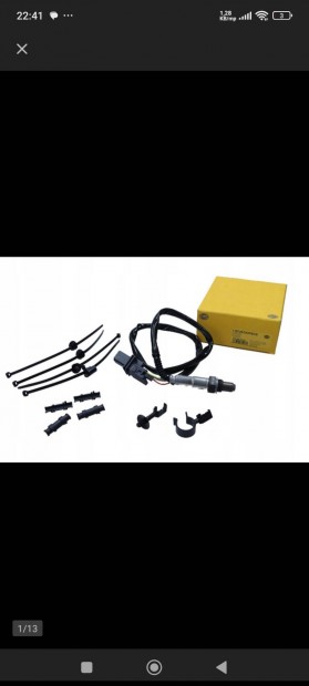 Hella lamdaszonda elad Audihoz 