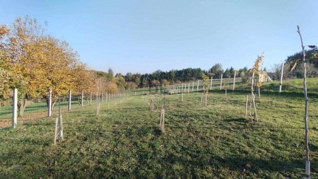 Herenden 96 nm-es, hangulatos csaldi hz, panorms telken elad.