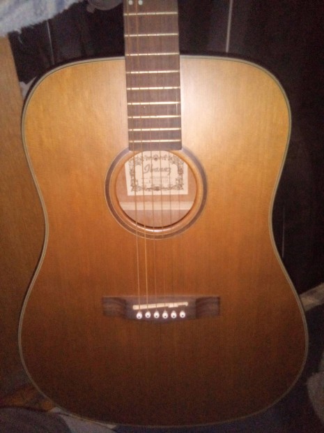 Hergestellt in Artwood 55/Ibanez/Acoustics gitr 