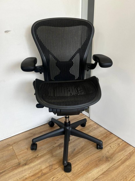 Herman Miller Aeron Graphite Full Option Posturefit