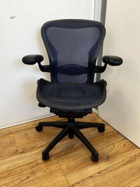 Herman Miller Aeron Kk - Lumbar Support