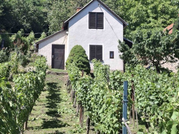 H�tv�gi h�z Szent-Gy�rgy hegy Kisap�ti oldal