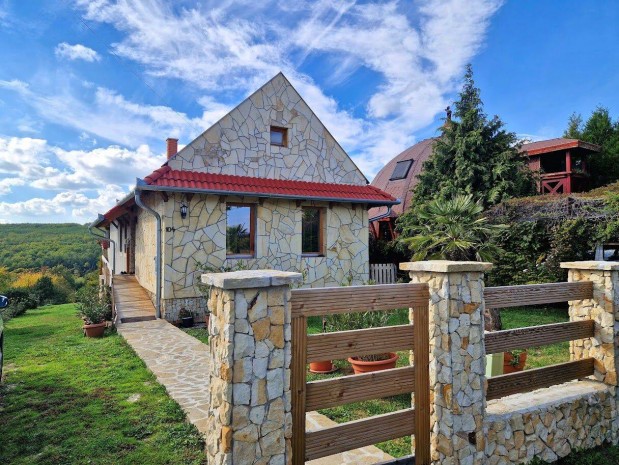 H�v�z k�zel�ben, Nemesb�k�n