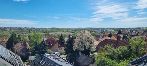 Hvzen rkpanorms hz elad