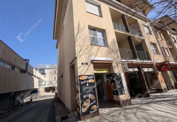 H�v�zi elad� 24 nm-es �zlethelyis�g