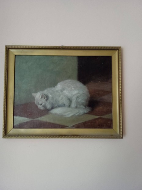 Heyer Artúr olajfestmény " A cica" eladó