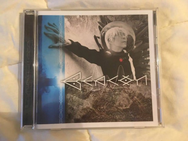 Hirasawa Susumu Beacon CD