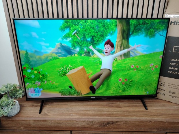 Hisense 110CM 4K SMART WIFI LED TV 