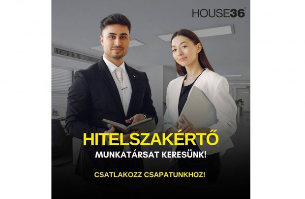 Hitelszakértő kollégát keresünk