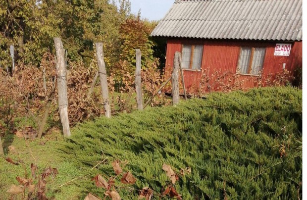 Hobbi-pihen� kert, fah�z