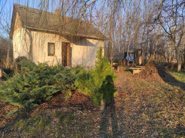 Hobby gymlcsskert hzzal
